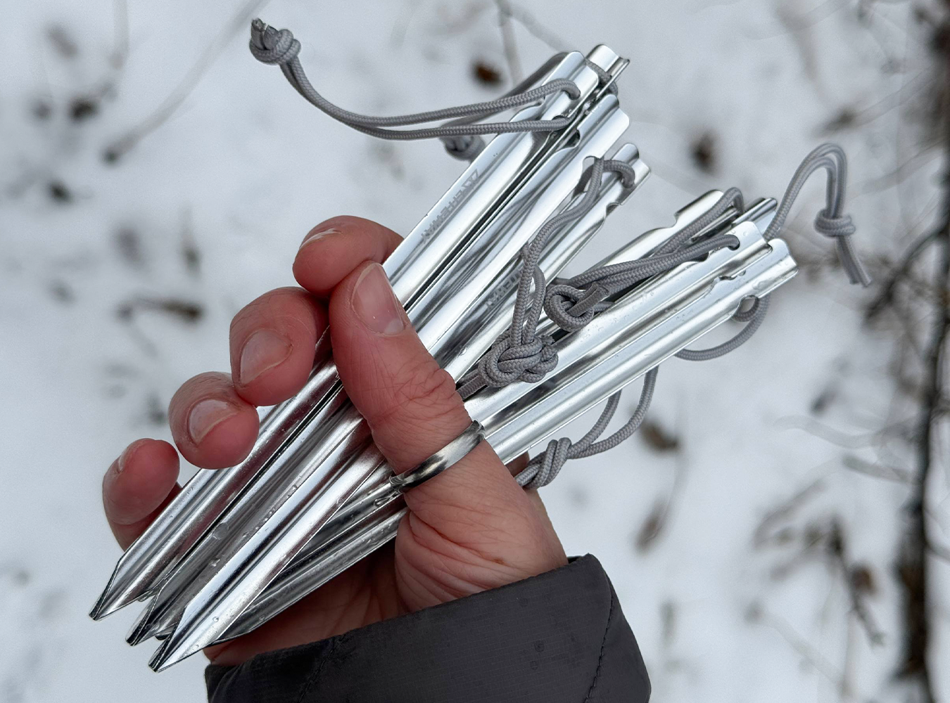 Hand holding a bundle of silver tent stakes against a blurred natural background